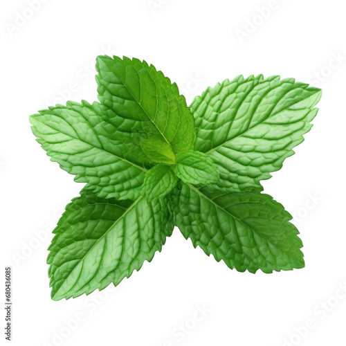 Mint leaves isolated transparent background