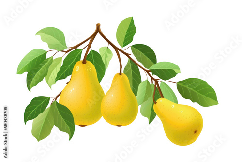 Yellow pears ripe delicious juicy on a branch flat illustration isolated on a white background