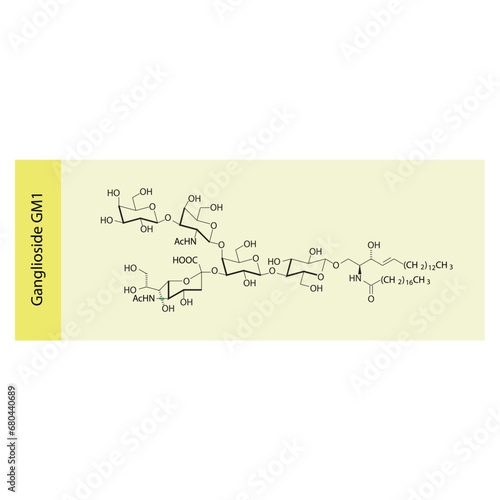 Molecular structure diagram of Ganglioside GM1 - monosialotetrahexosylganglioside yellow Scientific vector illustration. photo