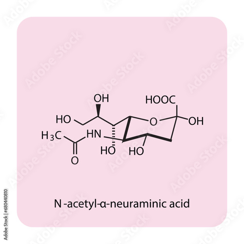 Molecular structure diagram of N-acetyl-α-neuraminic acid (Neu5Ac) - a sialic acid. pink Scientific vector illustration.