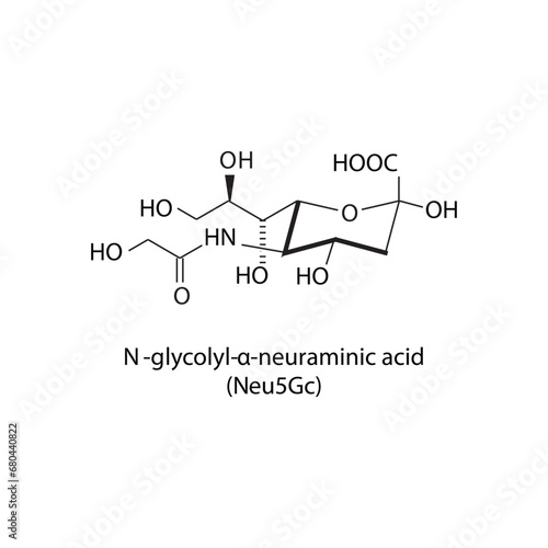 Molecular structure diagram of N-glycolyl-α-neuraminic acid (Neu5Gc) - a sialic acid. white Scientific vector illustration.