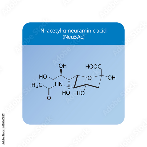 Molecular structure diagram of N-acetyl-α-neuraminic acid (Neu5Ac) - a sialic acid. blue Scientific vector illustration.