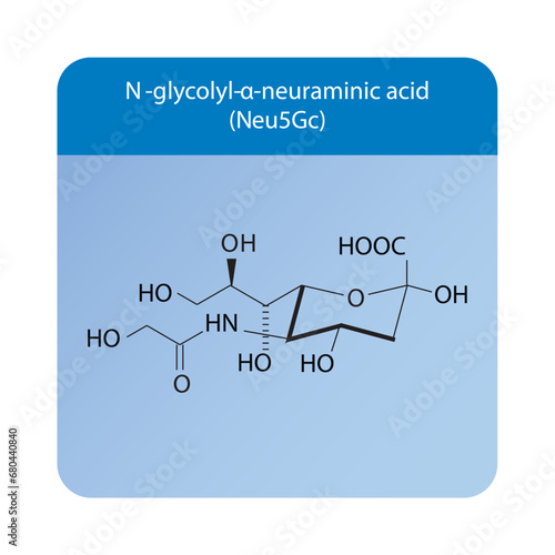 Molecular structure diagram of N-glycolyl-α-neuraminic acid (Neu5Gc) - a sialic acid. blue Scientific vector illustration.