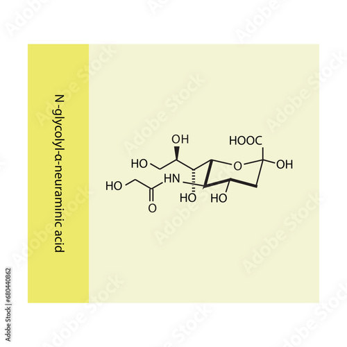 Molecular structure diagram of N-glycolyl-α-neuraminic acid (Neu5Gc) - a sialic acid. yellow Scientific vector illustration.