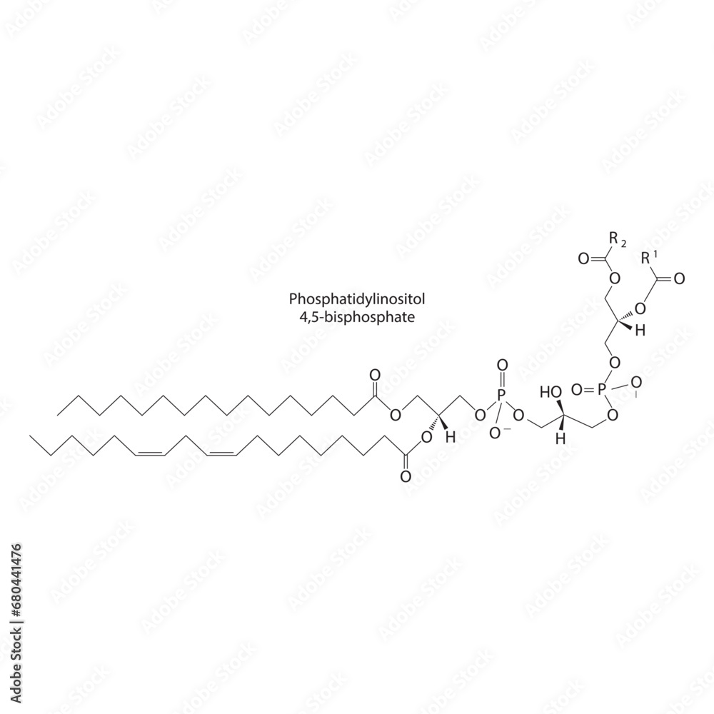 Diagram showing schematic molecular structure of Phosphatidylinositol 4,5-bisphosphate  Scientific vector illustration.