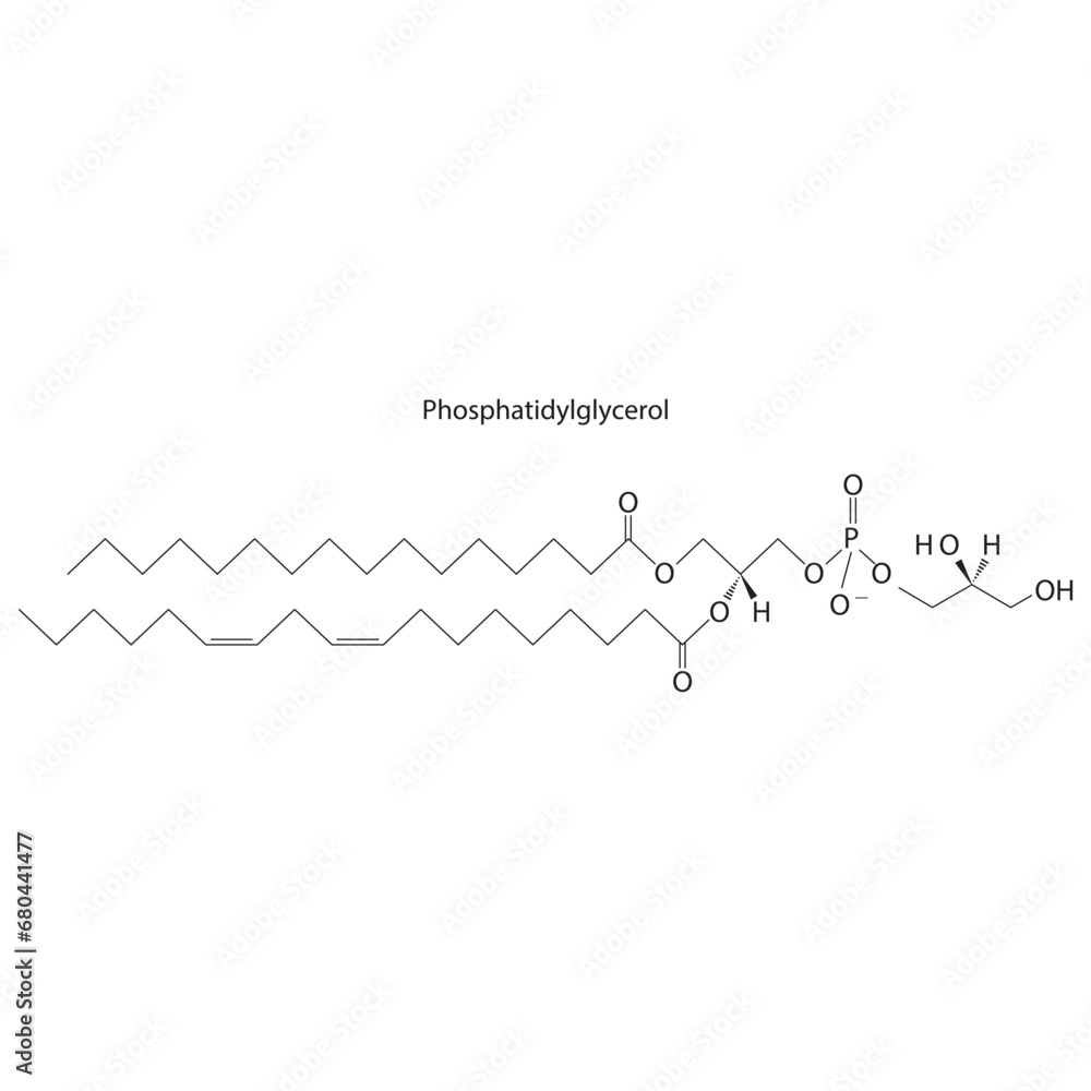 Diagram showing schematic molecular structure of Phosphatidylglycerol  Scientific vector illustration.