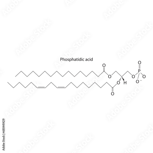 Diagram showing schematic molecular structure of Phosphatidic acid  Scientific vector illustration.