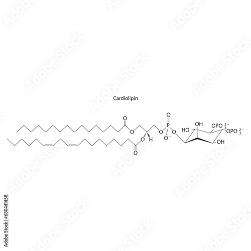 Diagram showing schematic molecular structure of Cardiolipin  Scientific vector illustration.