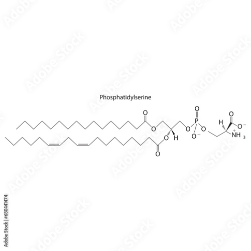 Diagram showing schematic molecular structure of Phosphatidylserine  Scientific vector illustration.