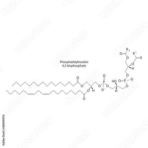 Diagram showing schematic molecular structure of Phosphatidylinositol 4,5-bisphosphate  Scientific vector illustration.
