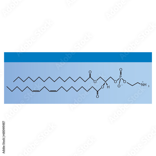 Diagram showing schematic molecular structure of Phosphatidylethanolamine Blue Scientific vector illustration.