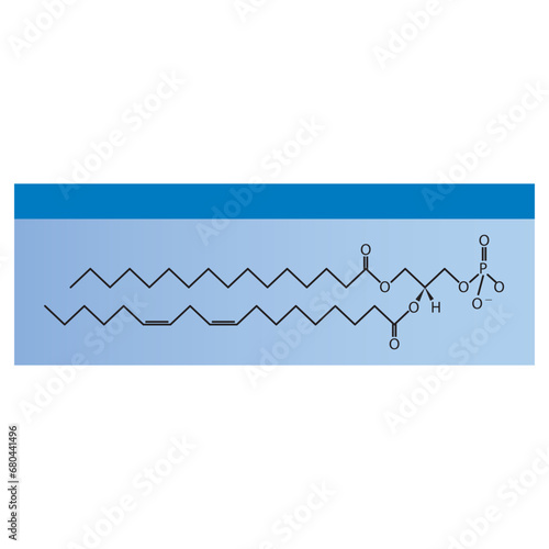 Diagram showing schematic molecular structure of Phosphatidic acid Blue Scientific vector illustration.