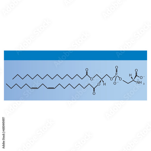 Diagram showing schematic molecular structure of Phosphatidylserine Blue Scientific vector illustration.