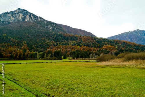 Foliage nell'area archeologica di Flavè, Doss torbiera. Trento, Trentino Alto Adige. Italia