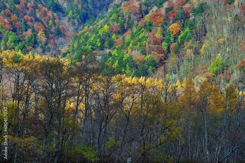 Fototapeta Naklejka Na Ścianę i Meble -  Kamikochi National Park in the Northern Japan Alps of Nagano Prefecture, Japan. Beautiful mountain in autumn leaf and Azusa river