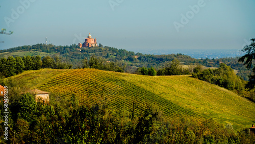 Foliage d'autunno nei vitigni delle colline bolognesi. Bologna, Emilia Romagna. Italia
