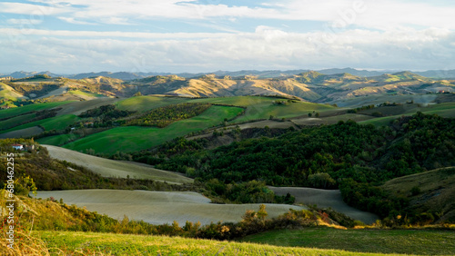 Foliage d'autunno nei vitigni delle colline bolognesi. Bologna, Emilia Romagna. Italia