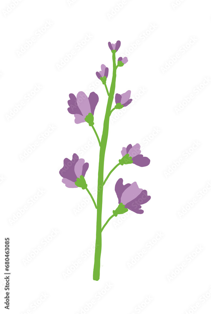 Fototapeta premium flower isolated on white background