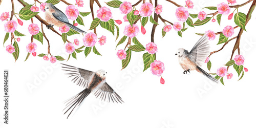 Hand-drawn watercolor illustration. Floral seamless border with sakura flowers, buds, leaves and long-tailed tits photo