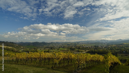 Foliage d autunno nei vitigni del Lambrusco delle colline modenesi. Castelvetro  Emilia Romagna Modena