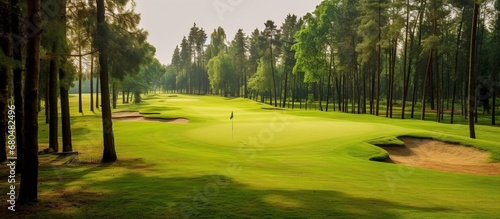 Green golf arena and play golf for sports