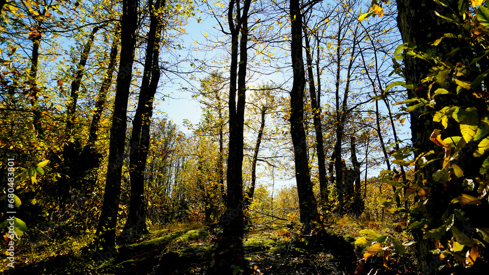 Fototapeta premium Autunno sull'Appennino Emiliano. Panorami autunnali delle montagne bolognaesi. Bologna, Emilia Romagna. Italia
