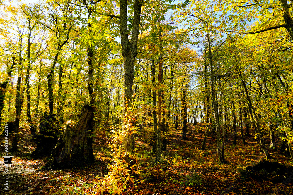 Obraz premium Autunno sull'Appennino Emiliano. Panorami autunnali delle montagne bolognaesi. Bologna, Emilia Romagna. Italia