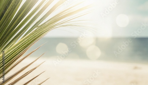 Blur beautiful nature green palm leaf on a tropical beach with bokeh sun light abstract texture background.