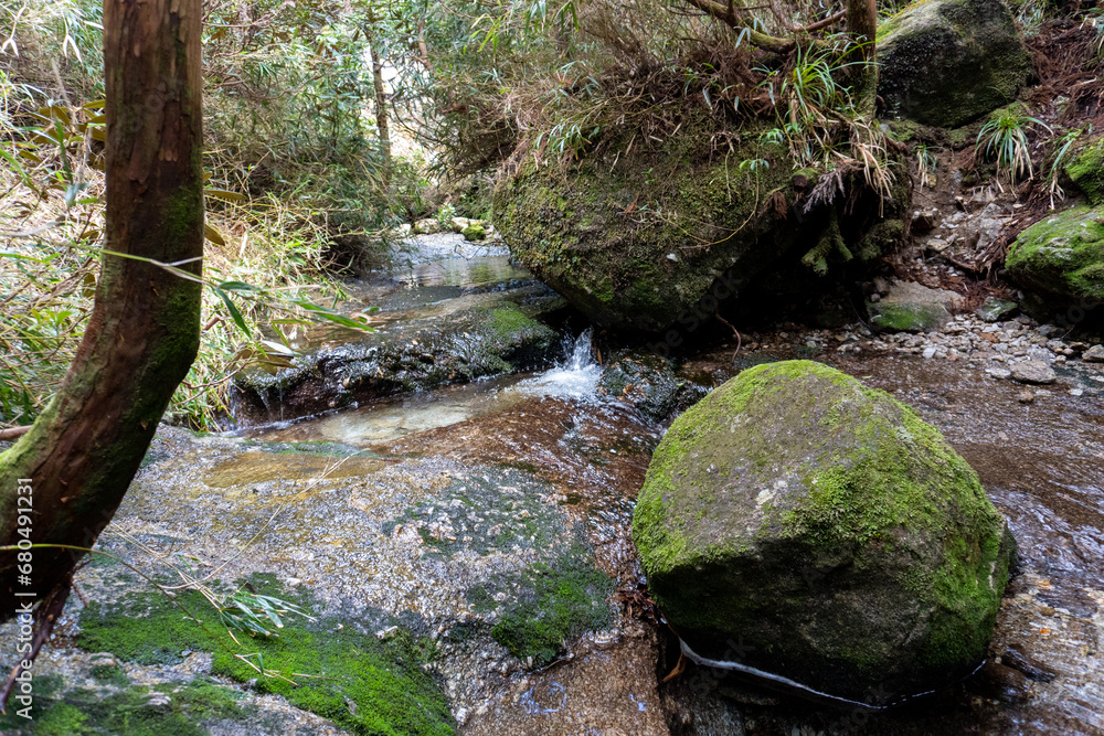 Water place at Shikanosawa Hut on Yakushima Island Water place at Shikanosawa Hut on Yakushima Island