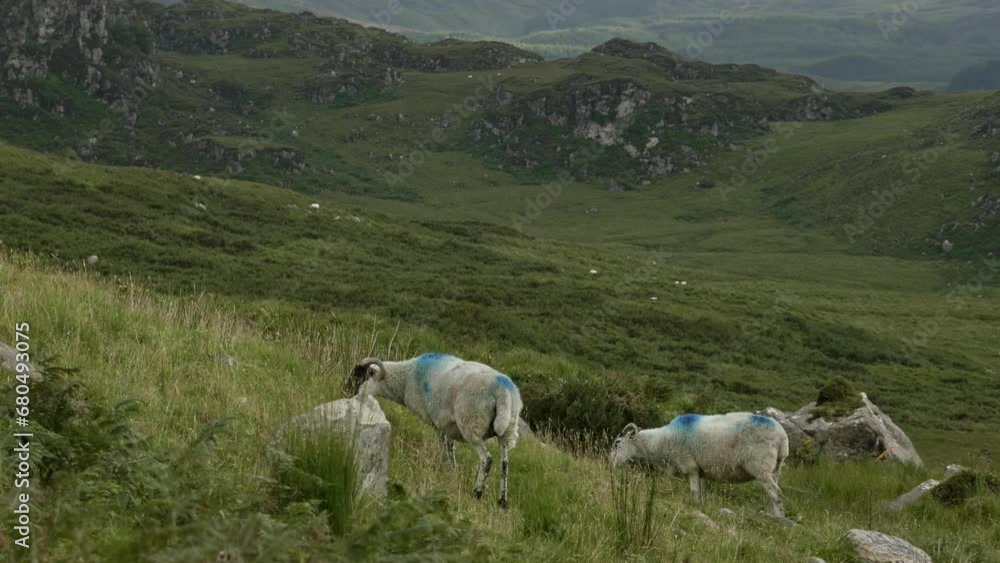 A serene view of sheep grazing in a mountainous region, embodying the beauty of nature. zoom out A serene view of sheep grazing in a mountainous region, embodying the beauty of nature. zoom out