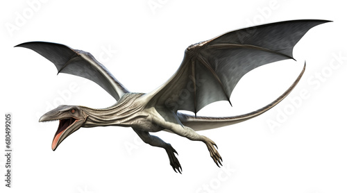 Flying Pterodactyl Concept Isolated on Transparent Background
 photo