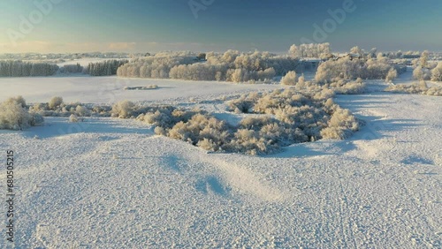 A frosty day with frost and snow on trees and Christmas trees. Winter landscape. Winter theme