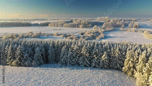 Winter landscape. A frosty day with frost and snow on trees and Christmas trees. Winter theme in USA