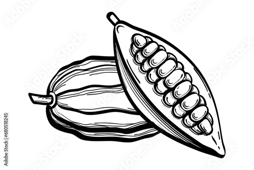 The fruits of a cocoa bean plant cut in half lying next to the whole fruit drawn with a black outline. Flat doodle style. Vector illustration.

