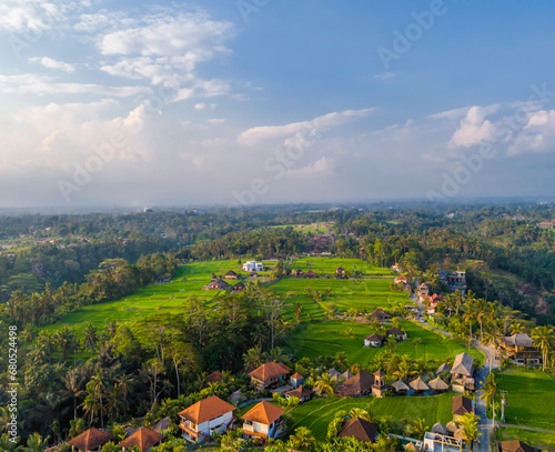 Aerial drone view of green rice fields in Ubud, Bali island, Indonesia. Terraces located next to city center