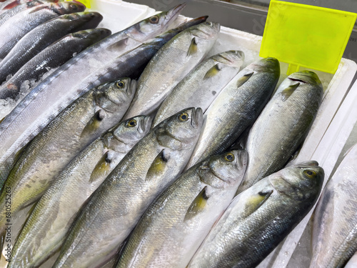 Freshly caught bluefish lined up on the counter at the fish market photo