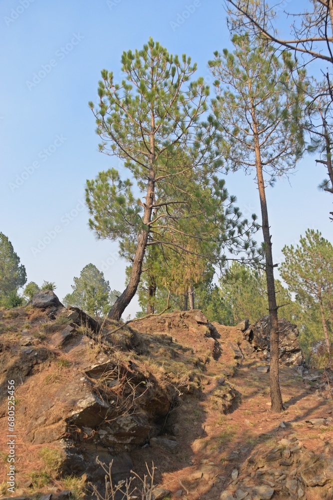 hill station of Lansdowne, Uttarakhand, India hill station of Lansdowne, Uttarakhand, India