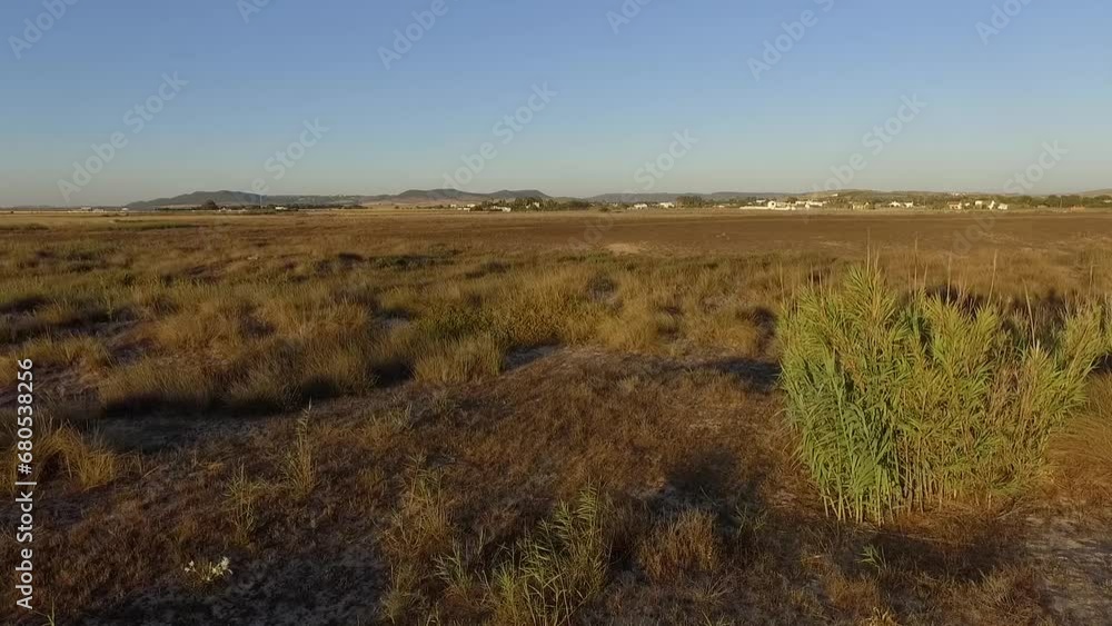 Drone view in front flight of the beach, dune area with vegetation at sunset Drone view in front flight of the beach, dune area with vegetation at sunset