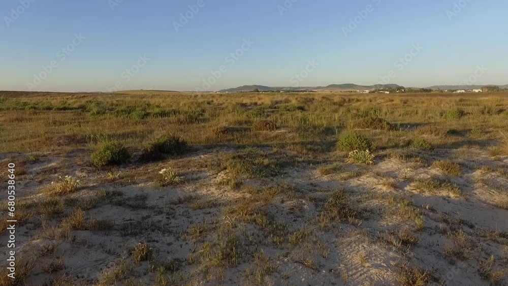 beach, drone, overhead, aerial, coast, sunset, dune, sun, summer, horizon, parasol, landscape, nature, sky, grass, water, lake, field, clouds, mountain, hill, hills, green, river, view, panorama, outd beach, drone, overhead, aerial, coast, sunset, dune, sun, summer, horizon, parasol, landscape, nature, sky, grass, water, lake, field, clouds, mountain, hill, hills, green, river, view, panorama, outd