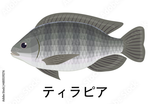 ティラピアのイラスト