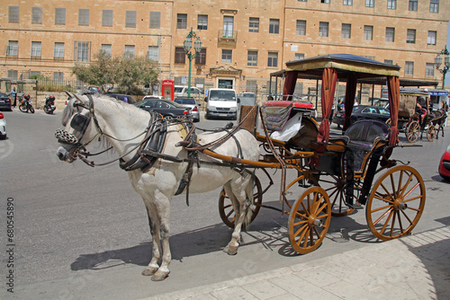Horse and carriage in Malta