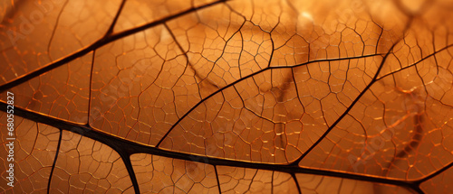 Close-up nano photo of a dry leaf.