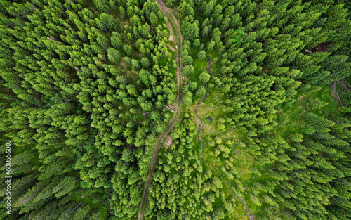 Aerial drone panorama above the wild coniferous forests of Cindrel Mountains. A small spring flows inside a meadow along a footpath. Carpathia, Romania. 