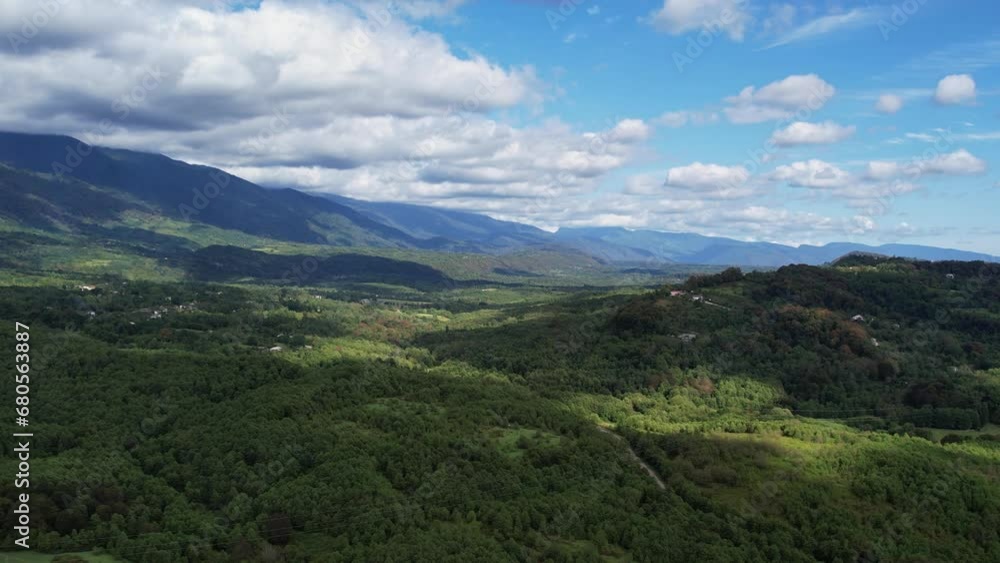 Mountains Covered With Forest Summer Drone