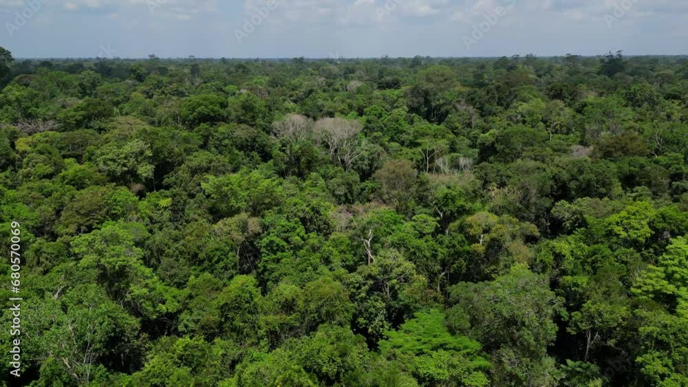 Aerial view of an area of untouched brazilian Amazon rainforest captured by drone Aerial view of an area of untouched brazilian Amazon rainforest captured by drone