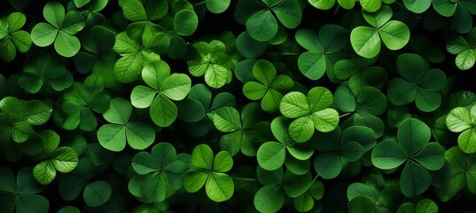 Vibrant stpatricks day wallpaper with captivating green tones for festive celebrations