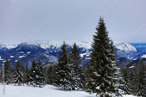 Germany Winter forest in the Oberammergau region on a sunny winter day © Iurii