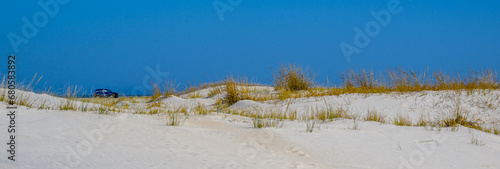 A panoramic photo of the beach and blue sky on Assateague Island in MD in Late October. A 4x4 on the sand with people fishing in the Atlantic Ocean while on Vacation. Dune is growing well.