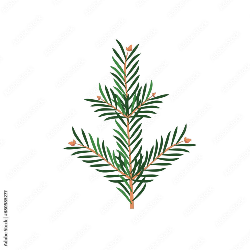 Naklejka premium Fir branch object isolated flat design stock vector for web, for print