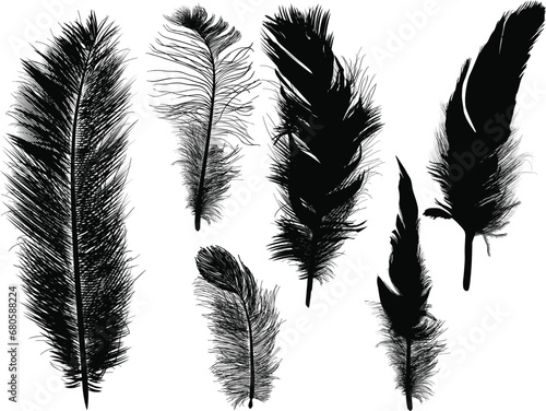 six fluffy grey silhouettes of feathers isolated on white